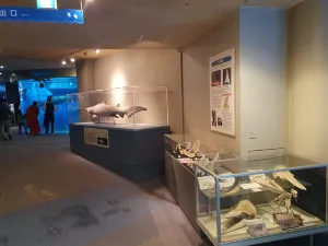 Shinagawa Aquarium