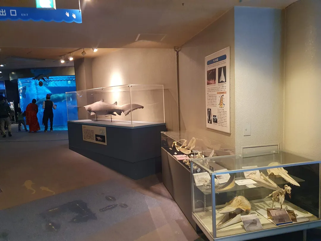 2_Shinagawa Aquarium
