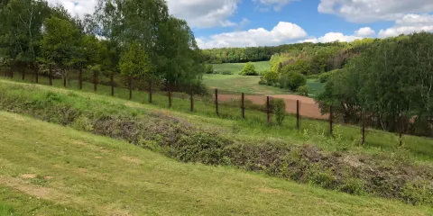 Grenzlandmuseum Eichsfeld e.V.