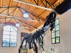 Museo Municipal Ernesto Bachmann