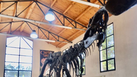 Museo Municipal Ernesto Bachmann