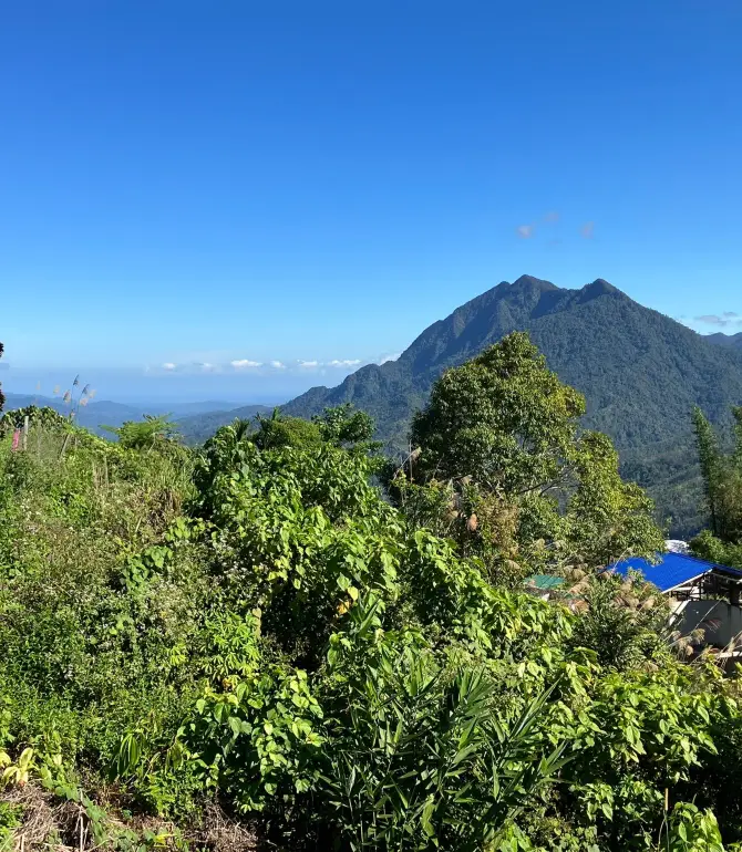 Tuaran