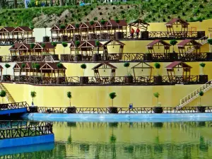 Chavi Land