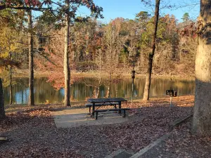 Daisy State Park