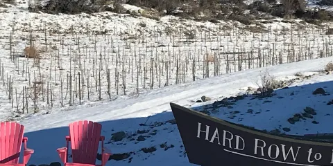 Hard Row to Hoe Vineyards