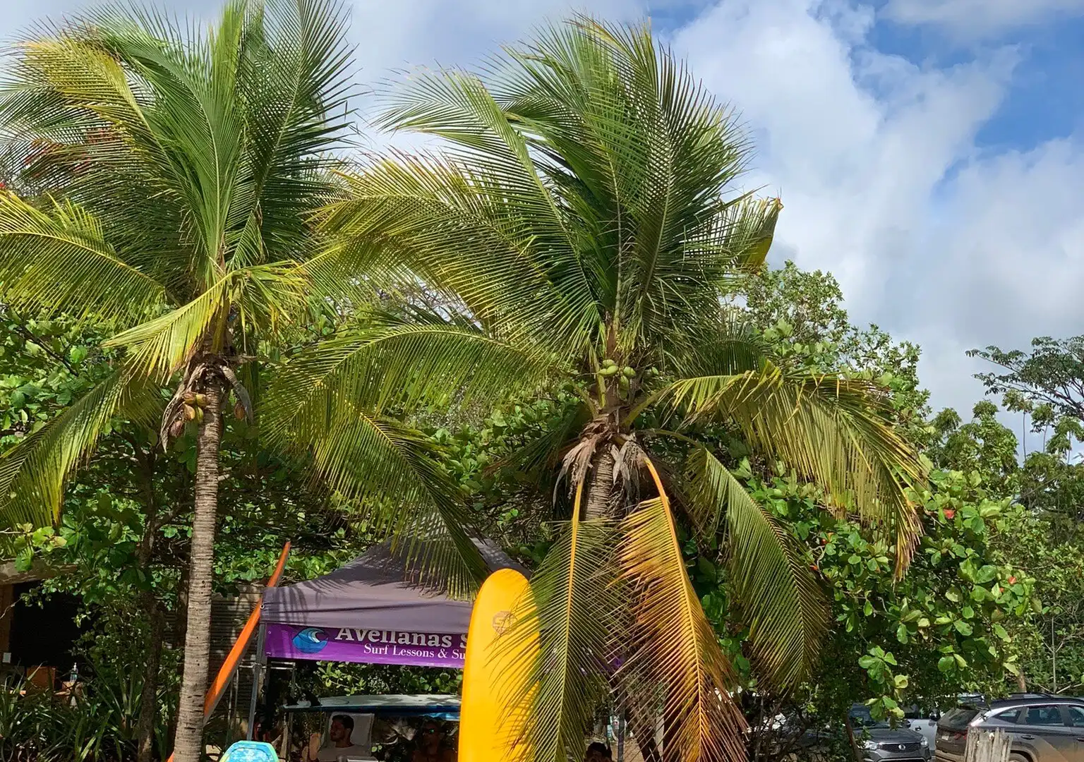 Hotels near Playa Avellana