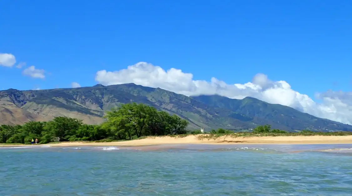 Hotel dekat Maalaea Beach