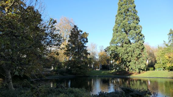 Jardin Botanique de l'Université de Gand
