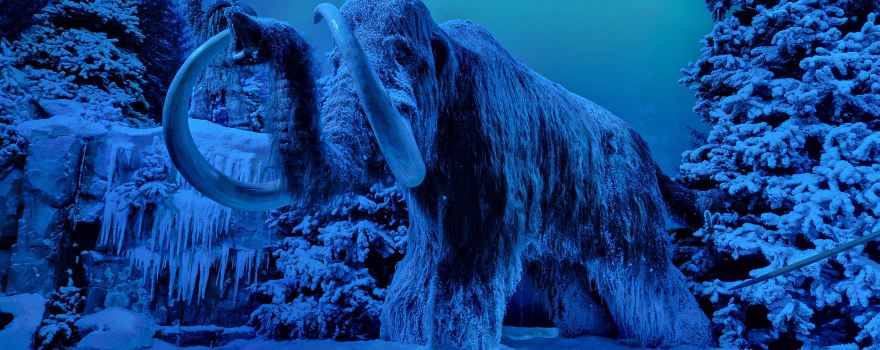 GONDWANA - the Prehistorium