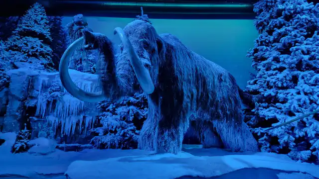 GONDWANA - the Prehistorium