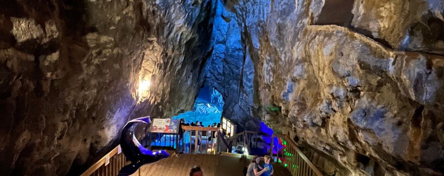 Sea Lion Caves