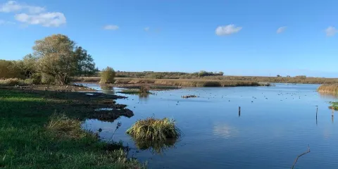 Stodmarsh National Nature Reserve