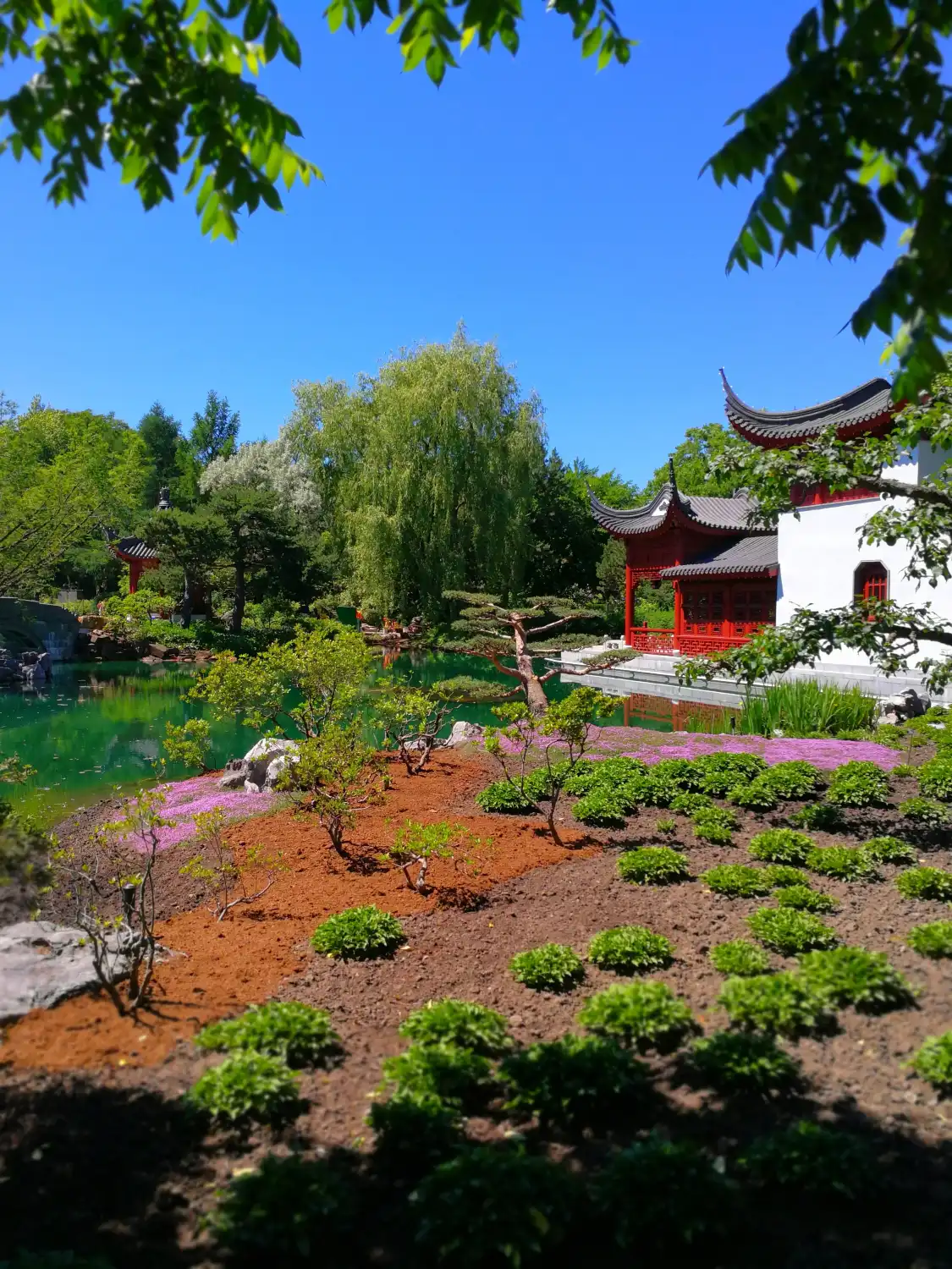 Hotel in zona Japanese Garden