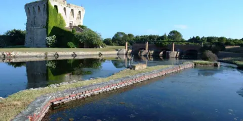 Oasi WWF del Lago di Burano