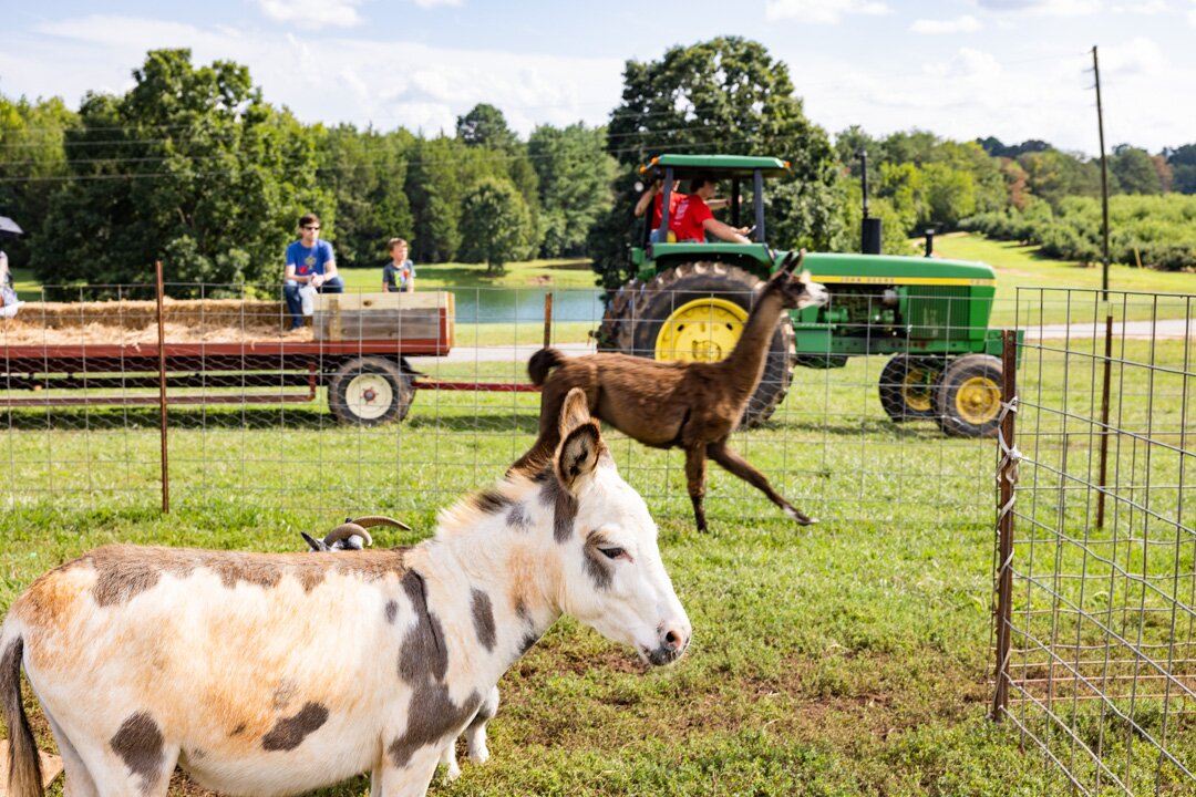 Carrigan Farms