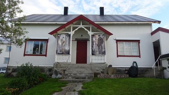 Andenes