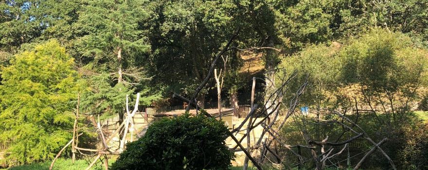 Pont-Scorff