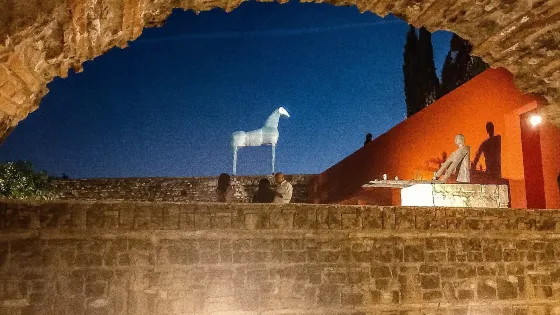 Hortus Conclusus Paladino