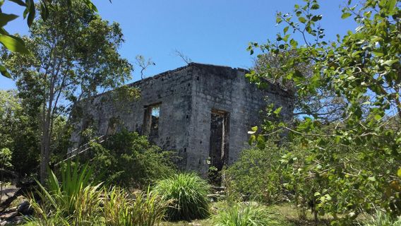 Wade’s Green Plantation