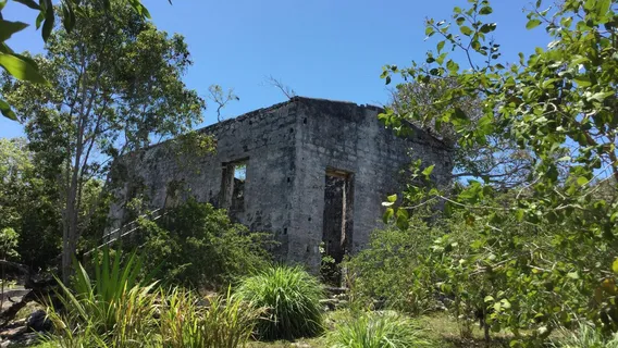 Wade’s Green Plantation