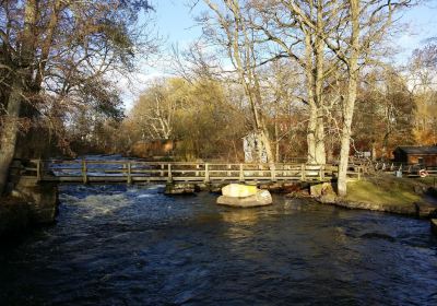 Morrum