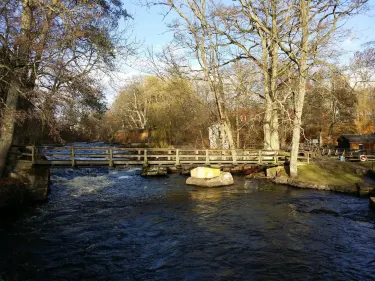Morrum