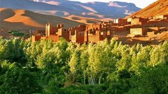 Petit Prince sur les sables