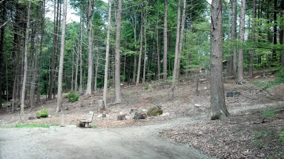 3_Fort Dummer State Park