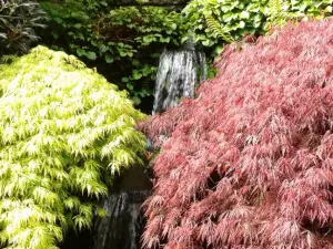 Cross Hills Gardens