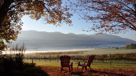 Privato Vineyard & Winery