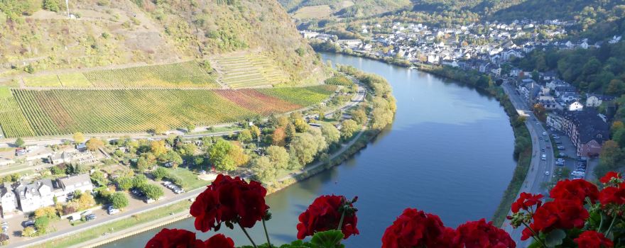 Wein- und Sektgut Georg Andre Söhne