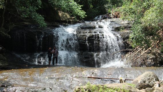 Vattakanal Homestay