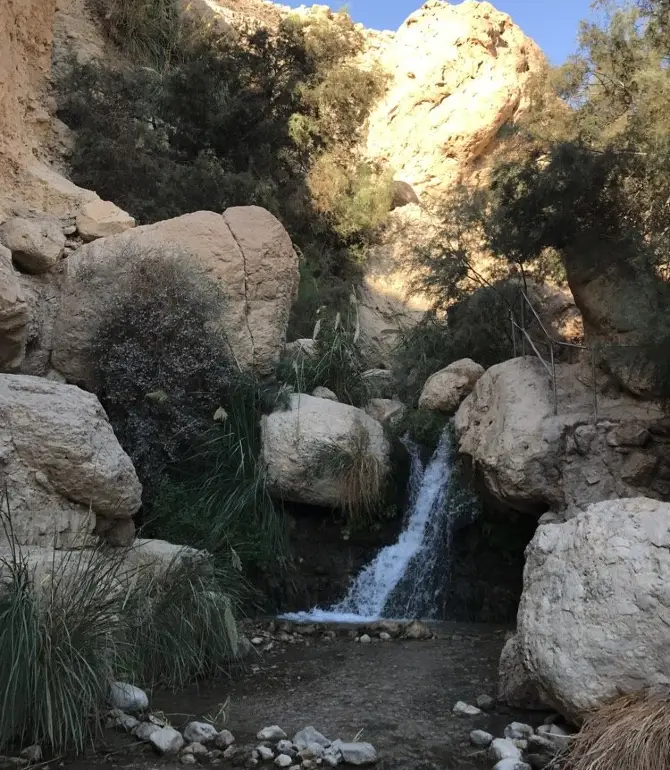 Ein Gedi