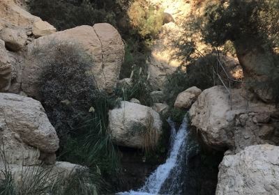 Ein Gedi Botanical Garden