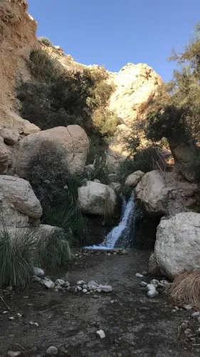 Ein Gedi Botanical Garden