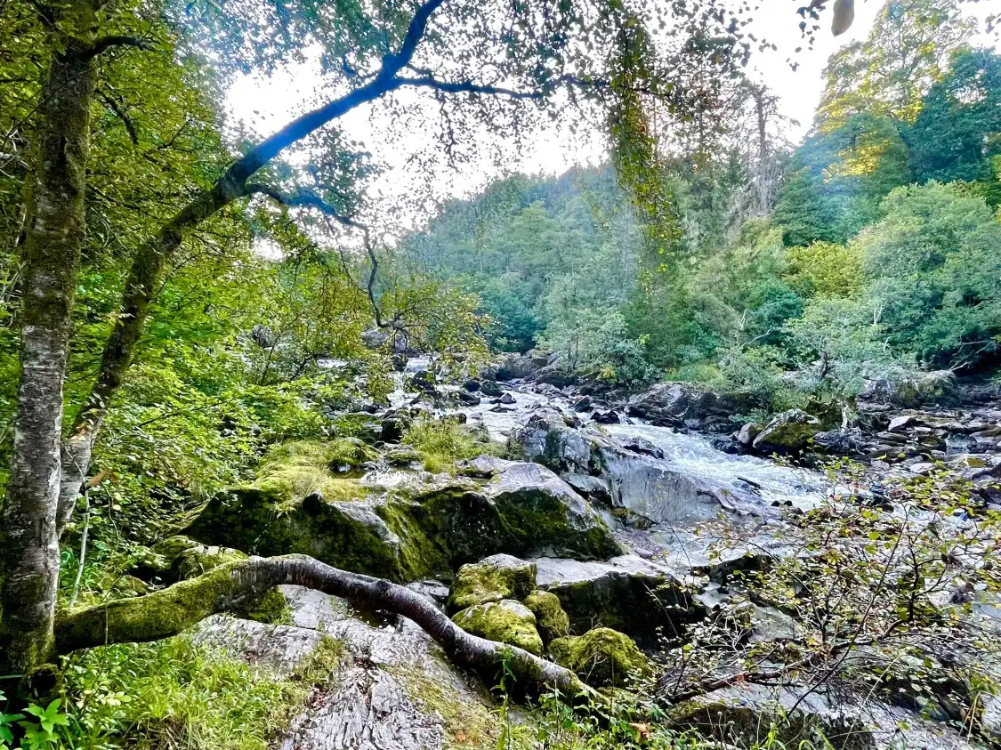 Hotels near Rumbling Bridge Falls