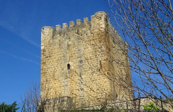 維拉桑納·德·梅納