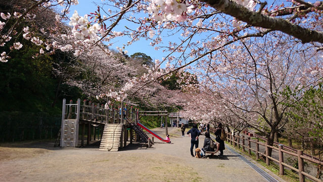 Shiroyama Park