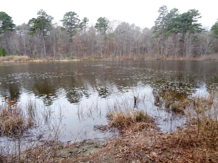 Các khách sạn ở Xã Johnson