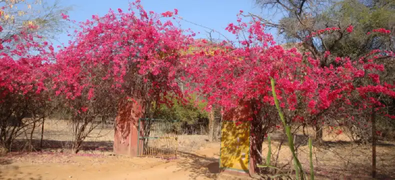 Hotels near Ganesh Temple, Ganesh Pipli, City, SWM