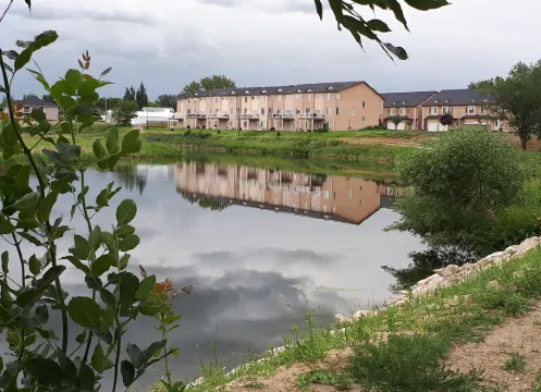 斯威夫特卡倫特