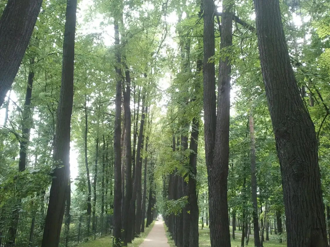 Hotels near Perlovskiy park