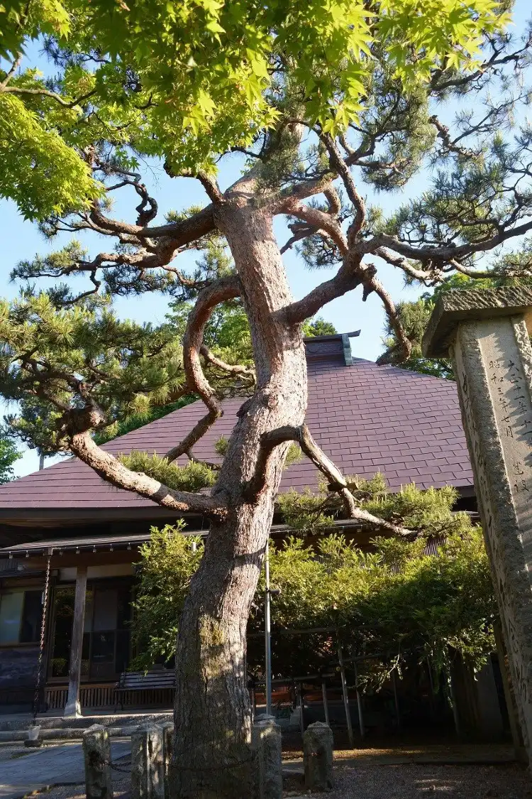 Hotels in Tagami
