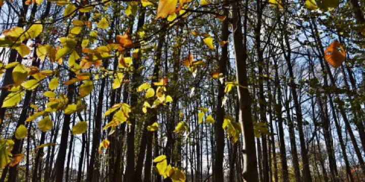 Marshlands Conservancy