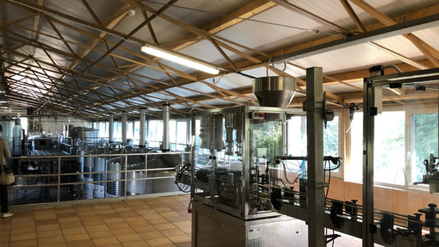 Bodega Castell Miquel