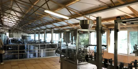 Bodega Castell Miquel