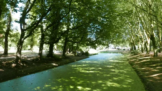 Schlosspark Schloss Strünkede
