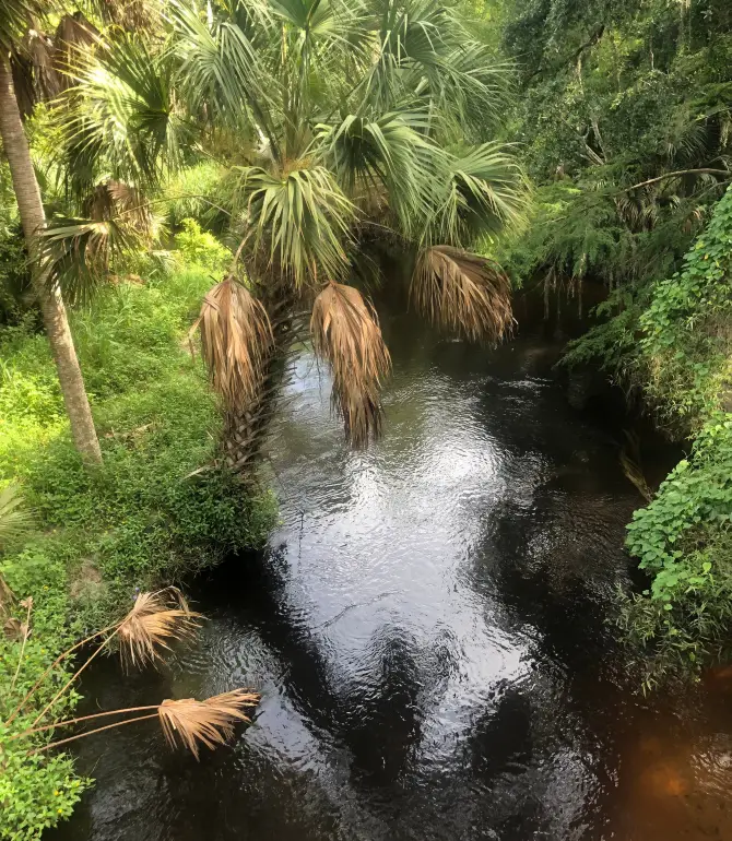 Winter Springs