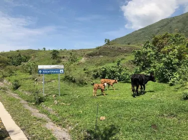 Jomulco