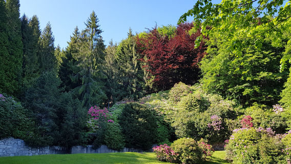 Conca dei Rododendri